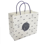 Custom White kraft Paper Bag with Twist Paper Handle