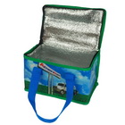 Non Woven Cooler Bag