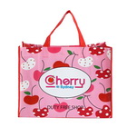 Custom Non Woven Bag